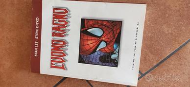 L'uomo ragno fumetto 