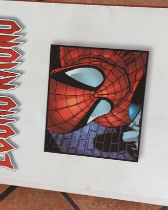 L'uomo ragno fumetto 