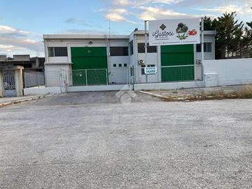CAPANNONE A CERIGNOLA