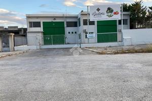 CAPANNONE A CERIGNOLA