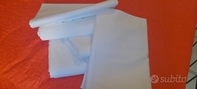  lenzuola cotone bianche €5 cadauno