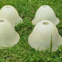CAPPELLI LAMPADE