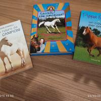 Set 3 libri per ragazze di P. Funnel