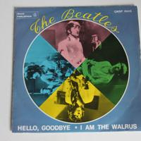 Disco collezione Beatles