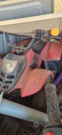 quad 50cc 2 t