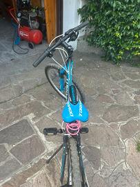 TORPADO BLU 24”