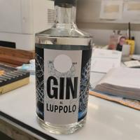 Gin al luppolo
