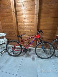 Mountain bike bambino