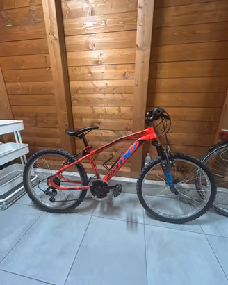 Mountain bike bambino