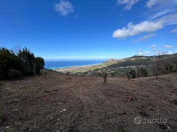 Terreno agricolo Contrada Leca