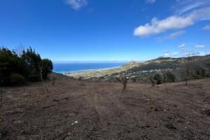 Terreno agricolo Contrada Leca