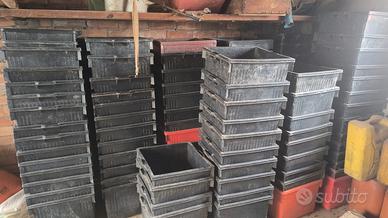 Corbelle per uva per vendemmia usate