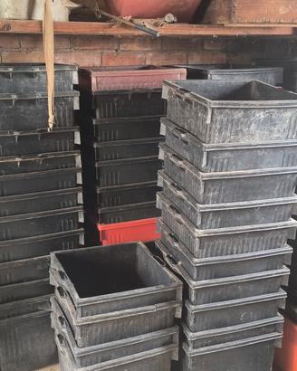 Corbelle per uva per vendemmia usate