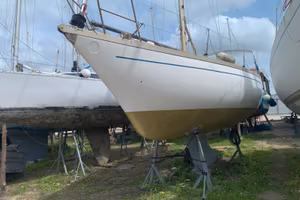 Aloa 31 MK2 b