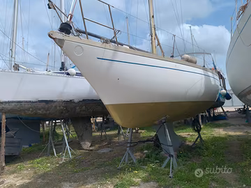 Aloa 31 MK2 b