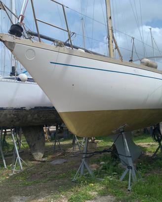 Aloa 31 MK2 b