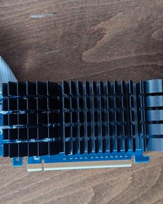 scheda video ASUS 1gb ddr3  PCI-E