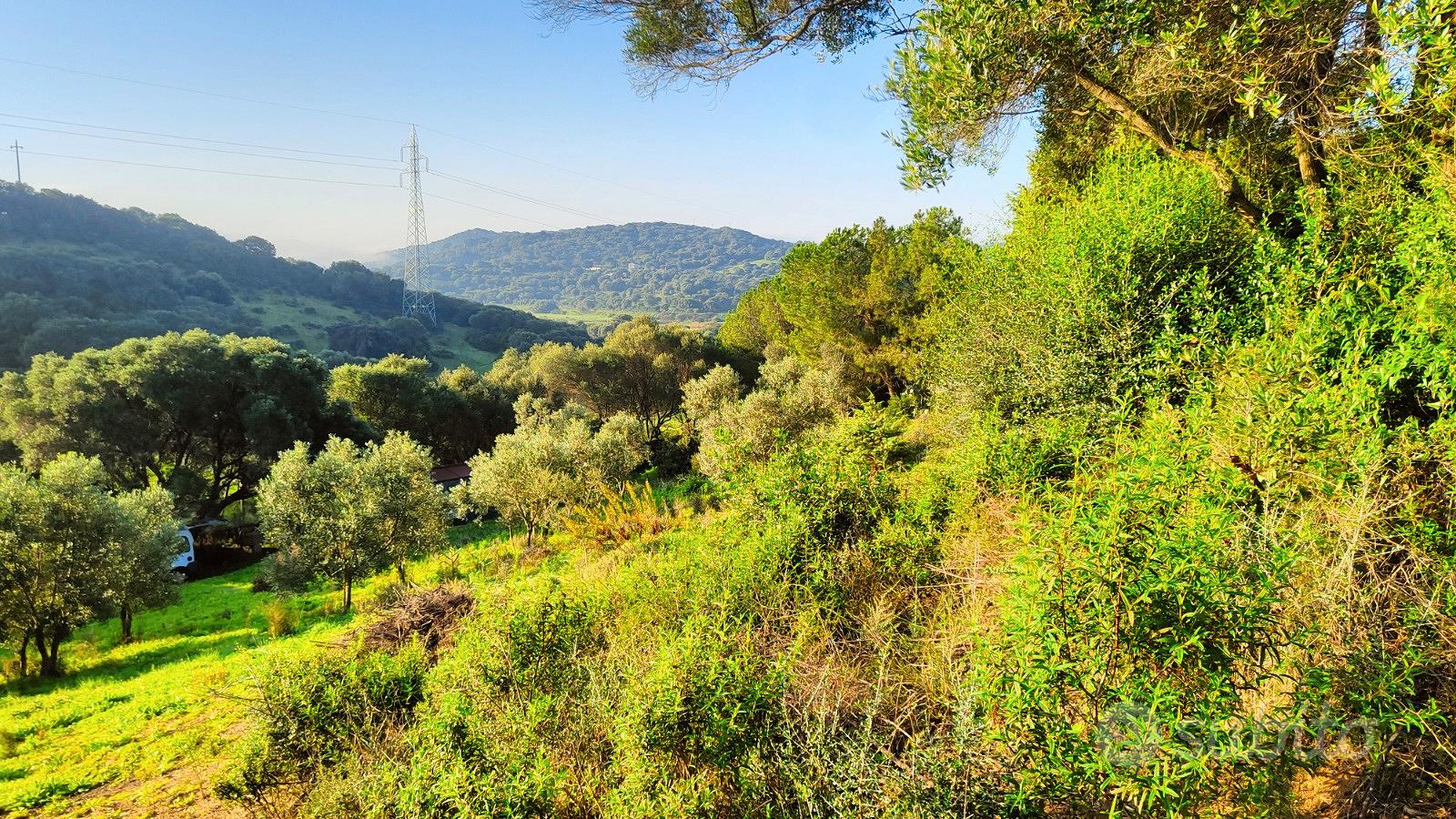 Terreno agricolo con scorcio vista mare a Palau - Vista 2