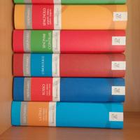 Collezione dizionari Rusconi Libri