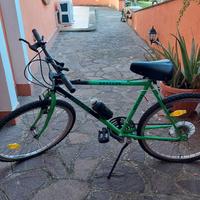 Mountain Bike Legnano Mustung