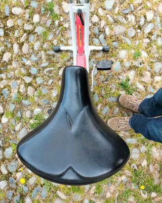 Cyclette