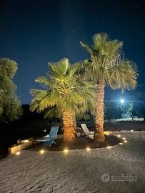 Dimora tra mare e natura settimane settembre