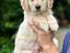 Immagine 24