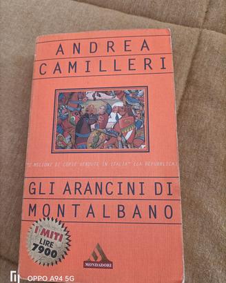 Gli arancini di Montalbano