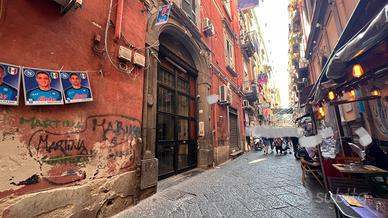 Napoli Via Toledo pedonale zona quartieri