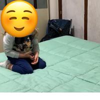Trapunta Gabel Matrimoniale