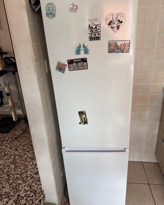 Frigo