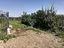 Immagine 22