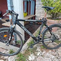 mountain bike Longoni 3000 uomo