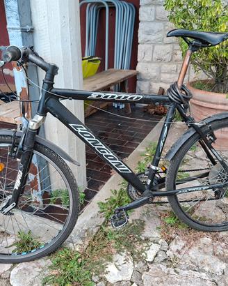 mountain bike Longoni 3000 uomo