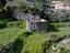 Immagine 14