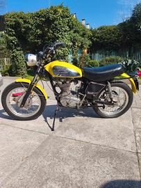 ducati 350 scrambler