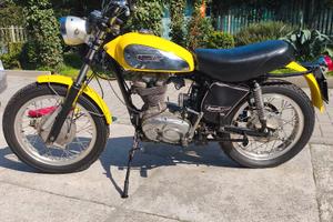 ducati 350 scrambler