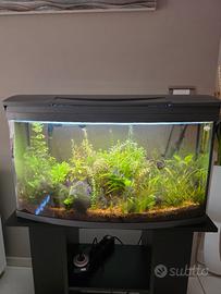 ACQUARIO TETRA 