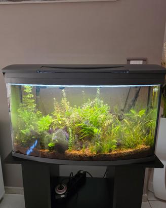 ACQUARIO TETRA 