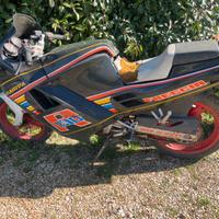 Cagiva freccia C10