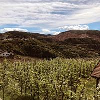 Appartamento val di Cembra 30-40 Min PARAOLIMPIADI