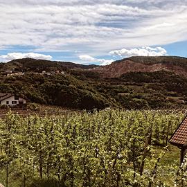 Appartamento val di Cembra 30-40 Min PARAOLIMPIADI