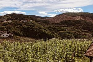 Appartamento val di Cembra 30-40 Min PARAOLIMPIADI