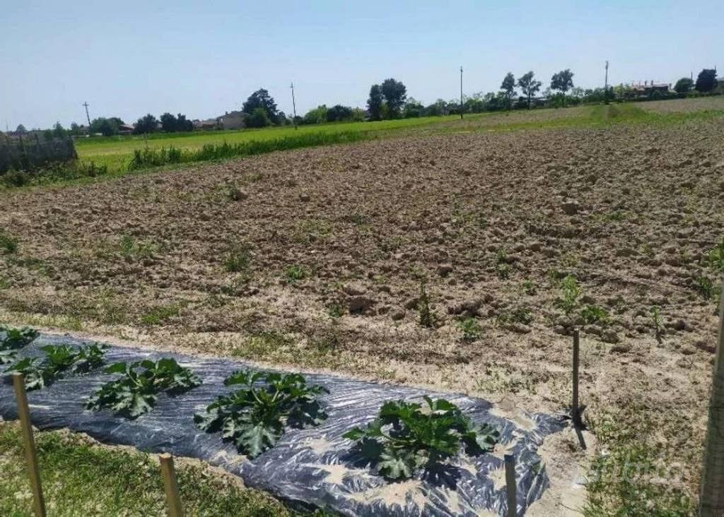 Immobile in asta di 10616 m² a San Donà di Piave - Vista 2