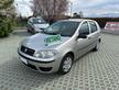 Fiat Punto 1.2 5p Active Natural Power