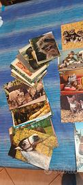 cartoline vintage