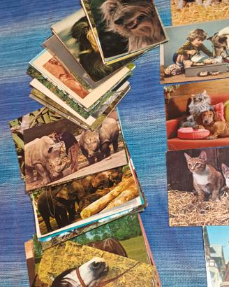 cartoline vintage