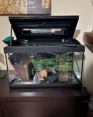 acquario