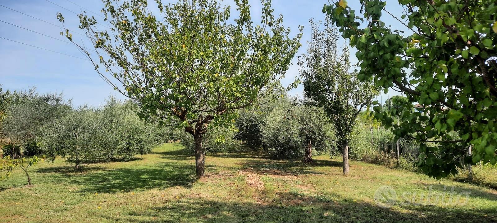 Terreno con annesso agricolo - View 3