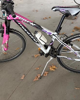 Bicicletta